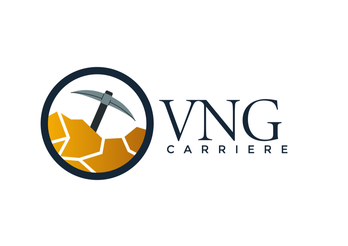 VNG Carrière
